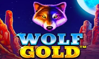 Wolf Gold Slot Game Review: Wins in the Wilderness