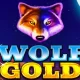 Wolf Gold Slot Game Review: Wins in the Wilderness