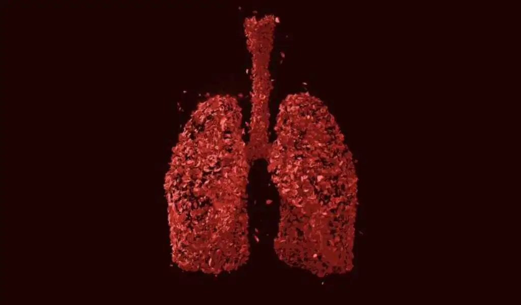 Lung Bacterial Colonization Is Also Influenced By The Host Genome