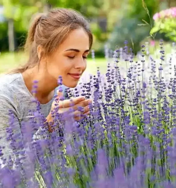 COVID-Linked Smell Loss Risk Much Lower Now: Study