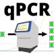 Exploring the Principles of Probing in QPCR