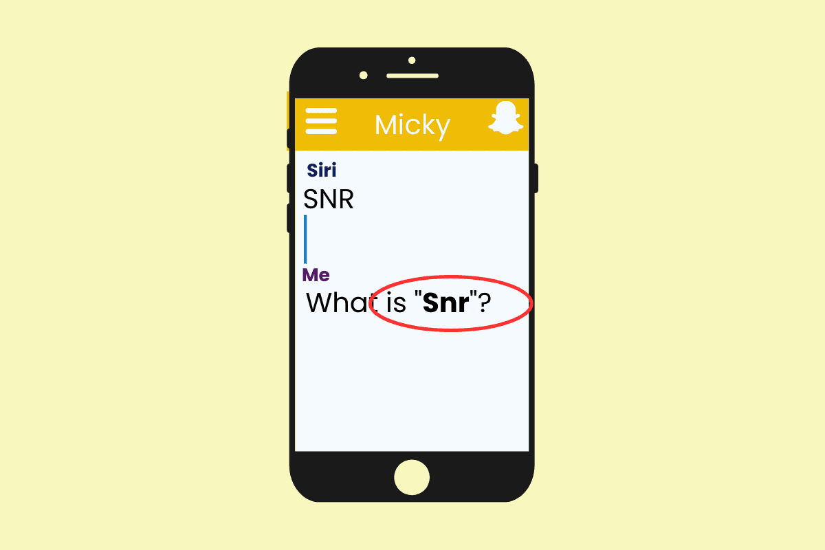 what does snr mean on snapchat