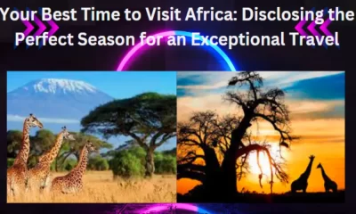 Best Time to Visit Africa: Disclosing the Perfect Season for an Exceptional Travel