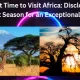Best Time to Visit Africa: Disclosing the Perfect Season for an Exceptional Travel