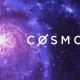 Disentangling the Complexity of Staking in Cosmos (ATOM)