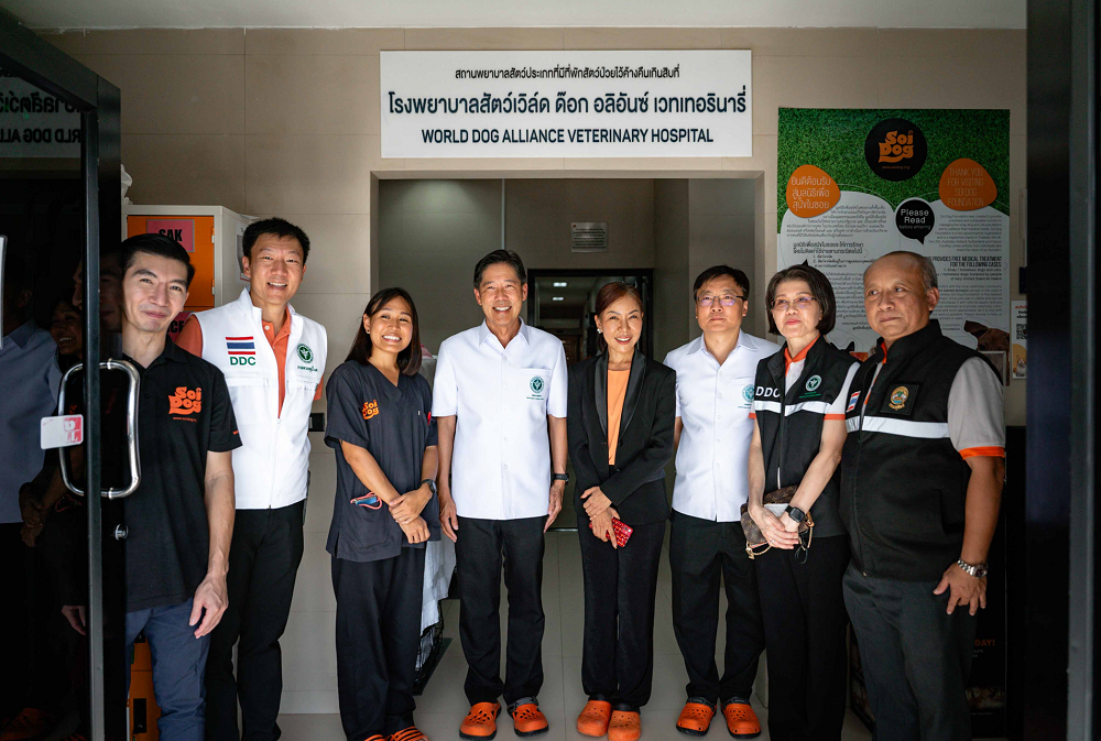 Soi Dog Foundation Collaborates With the Department of Disease Control on Rabies Prevention