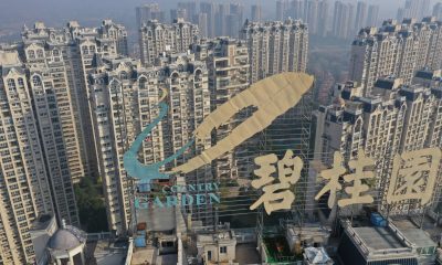 China's Property Giant Country Garden's Shares Plummet as Market Implodes