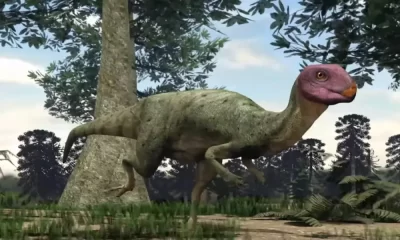 New Dinosaur Species Discovered in Thailand's Phu Kradung Formation