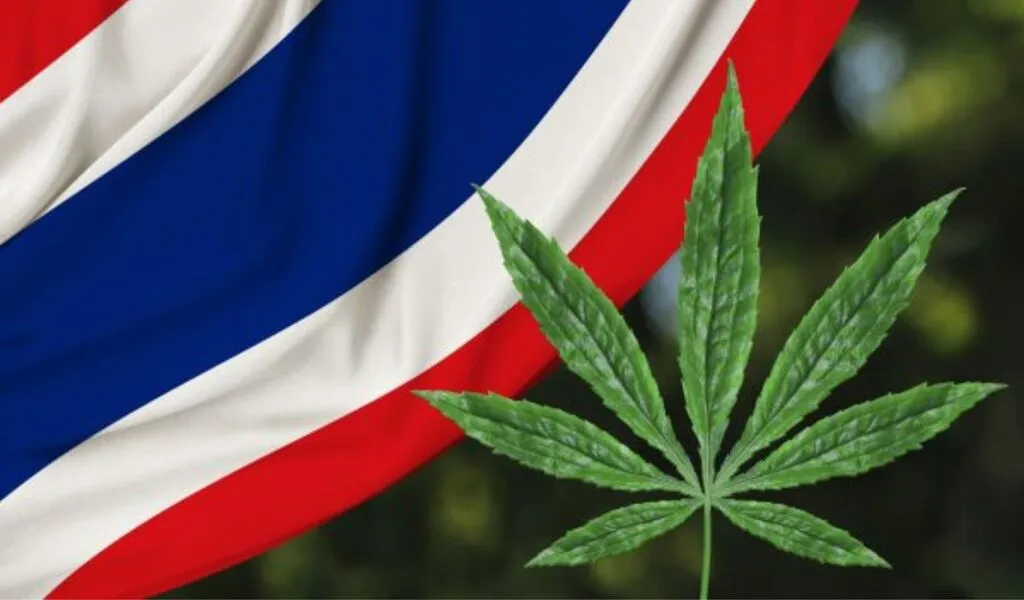 Thailand's Enhanced Cannabis Regulation Safeguarding Children from Drug Abuse Harm