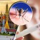 Thailand's Public Health Warns Over Zika Zirus as Cases Increase