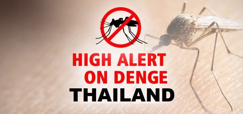 Thailand on High Alert Over Dengue Fever Cases for 2023