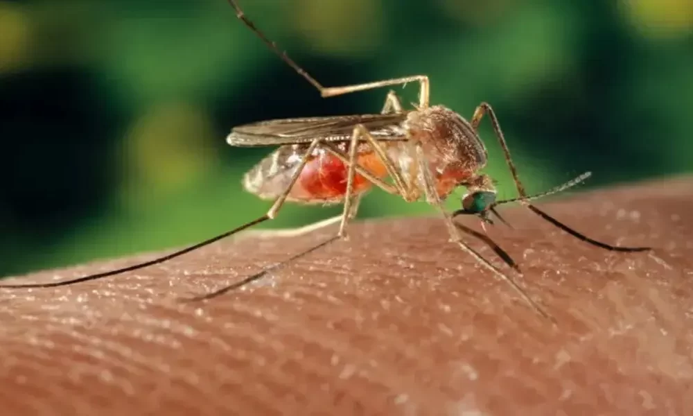 West Nile Virus Case In Orange County In 2023