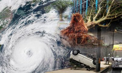 Typhoon Khanun Hammers Okinawa Japan 200K Homes Without Power
