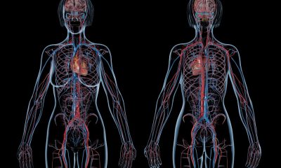 6 Common Vascular Conditions and Effective Treatment Approaches