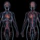 6 Common Vascular Conditions and Effective Treatment Approaches