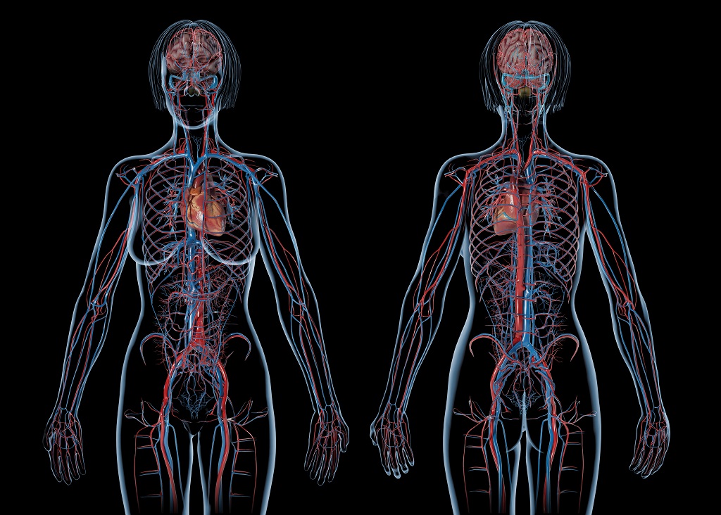 6 Common Vascular Conditions and Effective Treatment Approaches