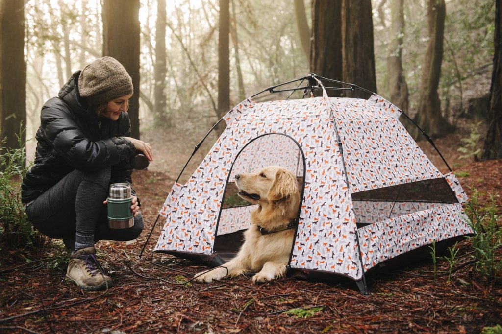 Bring Your Dog or Kitty on an Outdoor Adventure