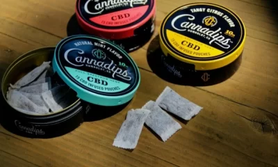 Explore the Extensive Collection of Cannadips