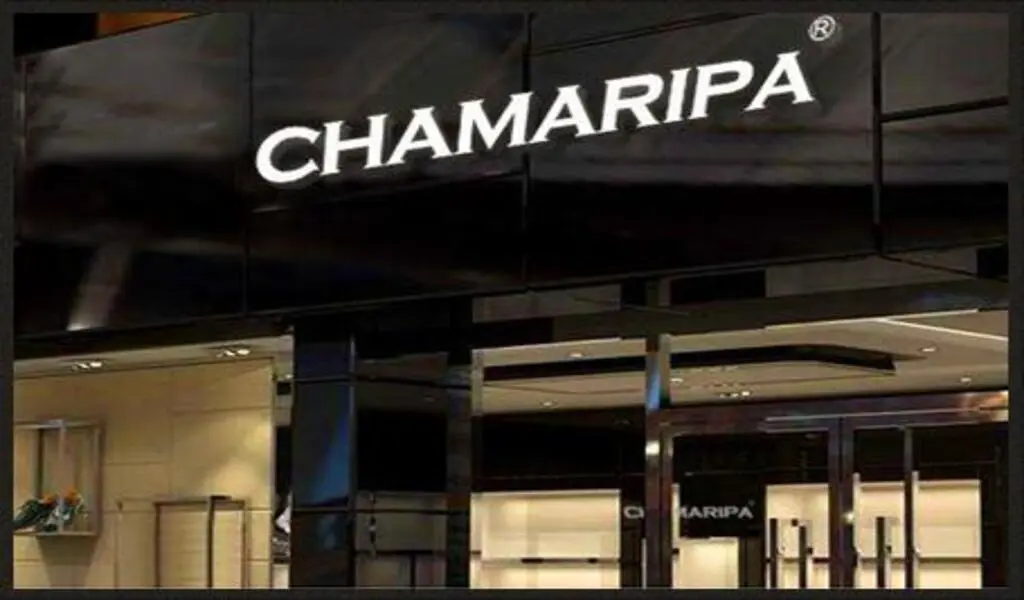 Invisible Height Increase: Men's Elevator Shoes Brand - Chamaripa