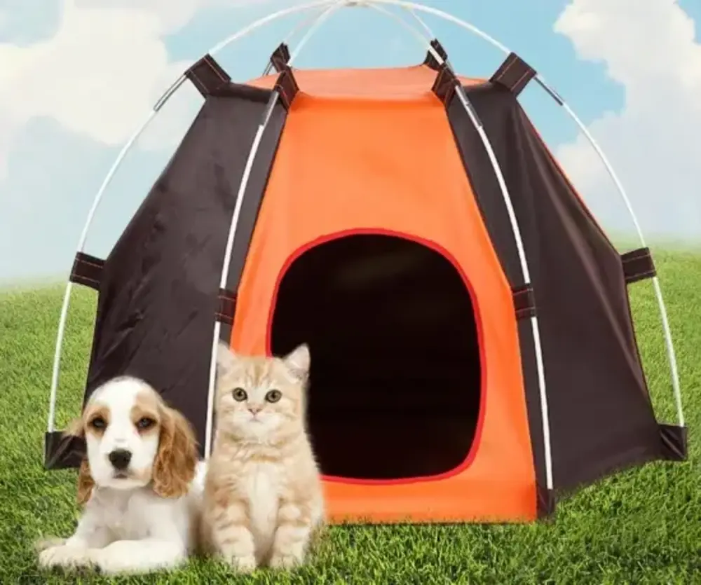 Bring Your Dog or Kitty on an Outdoor Adventure