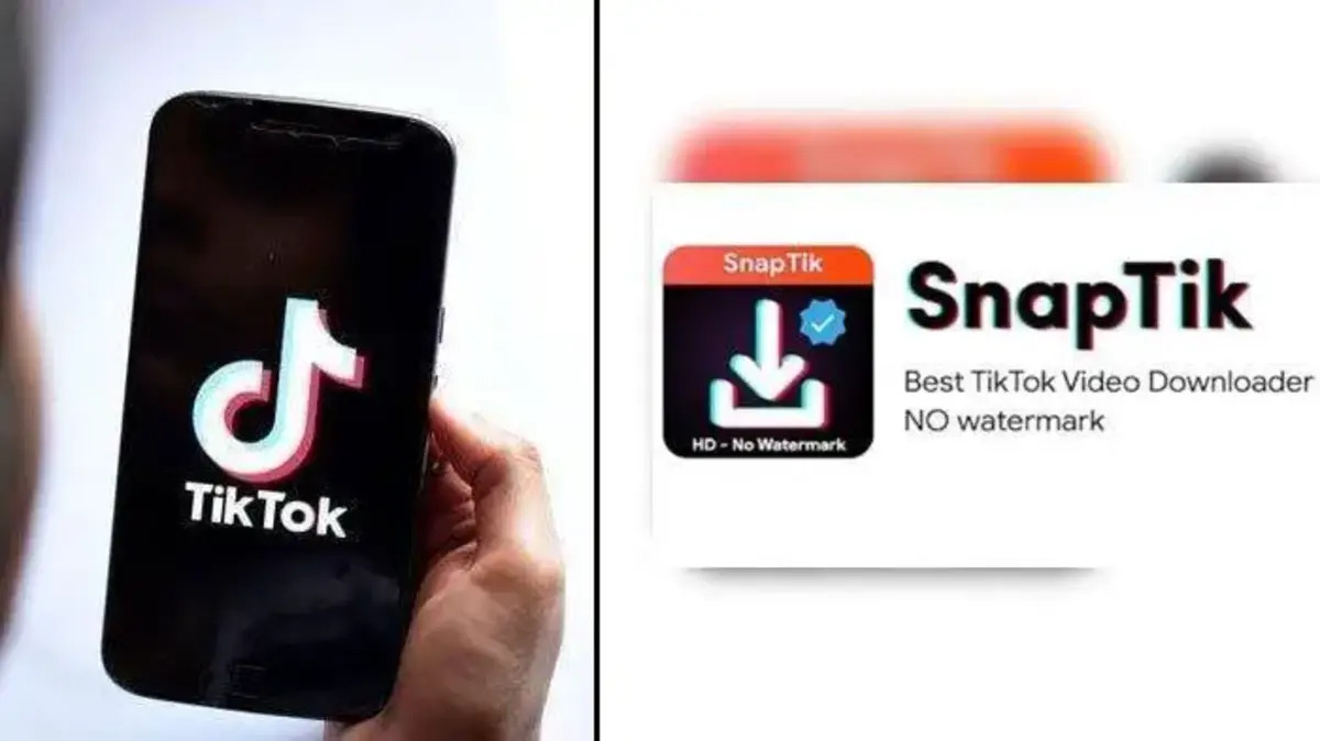 Snaptik TikTok Video Downloader