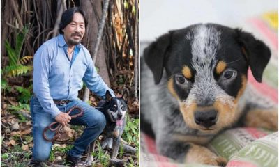 Veterinarian Pays $70,000 to Clone His Beloved Dog Khan