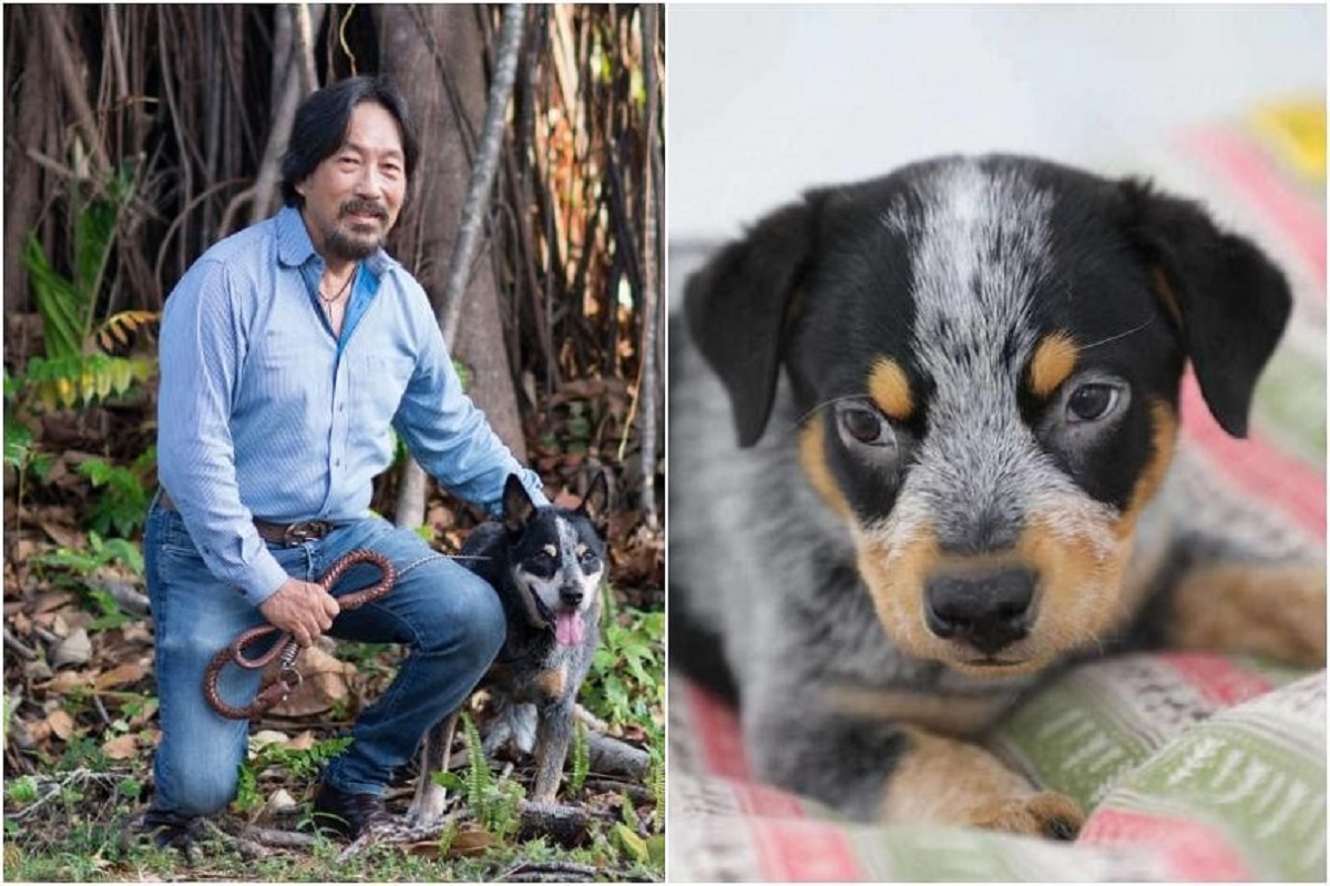 Veterinarian Pays $70,000 to Clone His Beloved Dog Khan