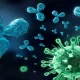 Influenza B May Be Fought With Antibody-Based Therapies: A Study