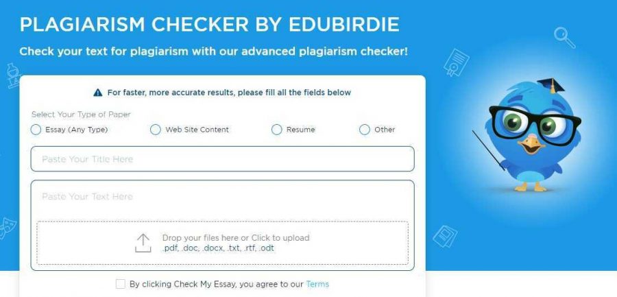 EduBirdie Platform Empowers Students With Their Academic Endeavors