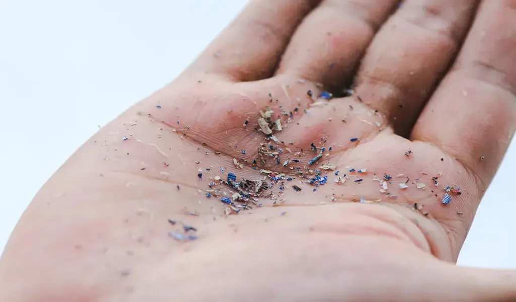 Microplastics Found In Human Heart Tissue For The First Time