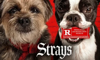 Strays