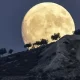 Supermoon