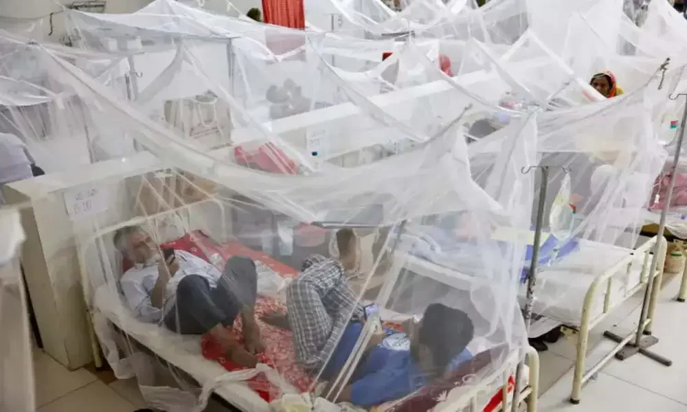 A Calamitous Dengue Fever Outbreak Has Struck Bangladesh