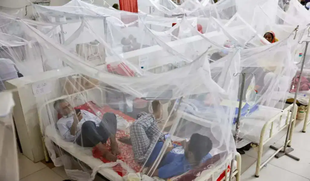 A Deadly Dengue Fever Outbreak Has Struck Bangladesh