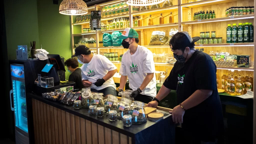 cannabis thailand