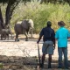 A Walking Safari in Mana Pools National Park: An Authentic African Safari Experience