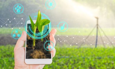 Agrotech startups