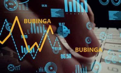 bubinga trading platform