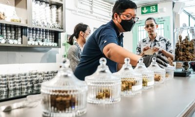 Thailand's Tourism Sector Supports an End to Recreational Cannabis Use