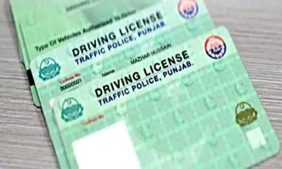 electronic driving licenses
