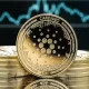 Essential Things Before Investing in Cardano