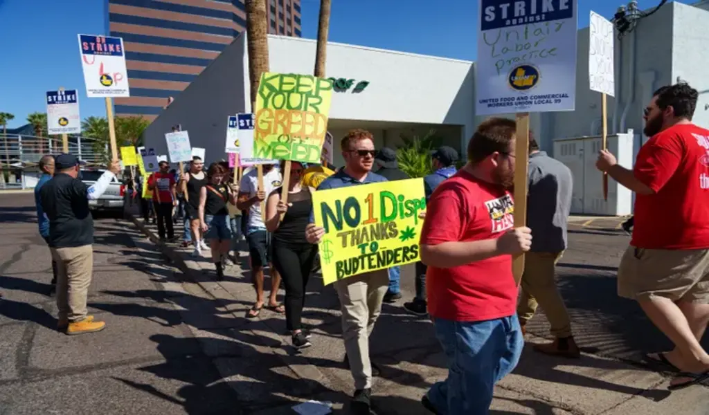 First-Ever Cannabis Workers' Strike in Arizona