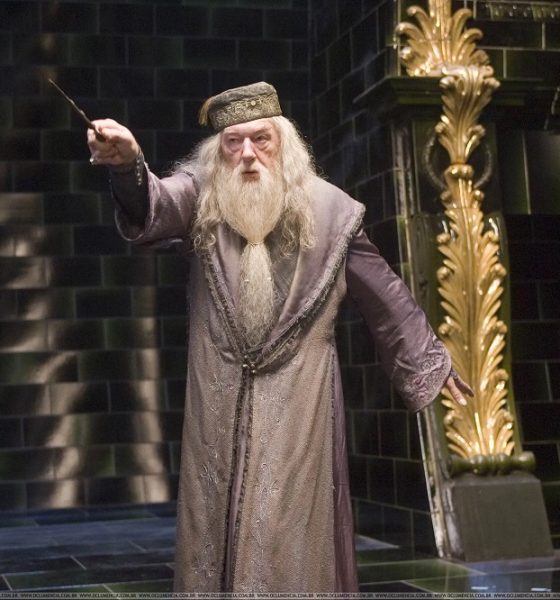 Harry Potter Dumbledore Actor Michael Gambon