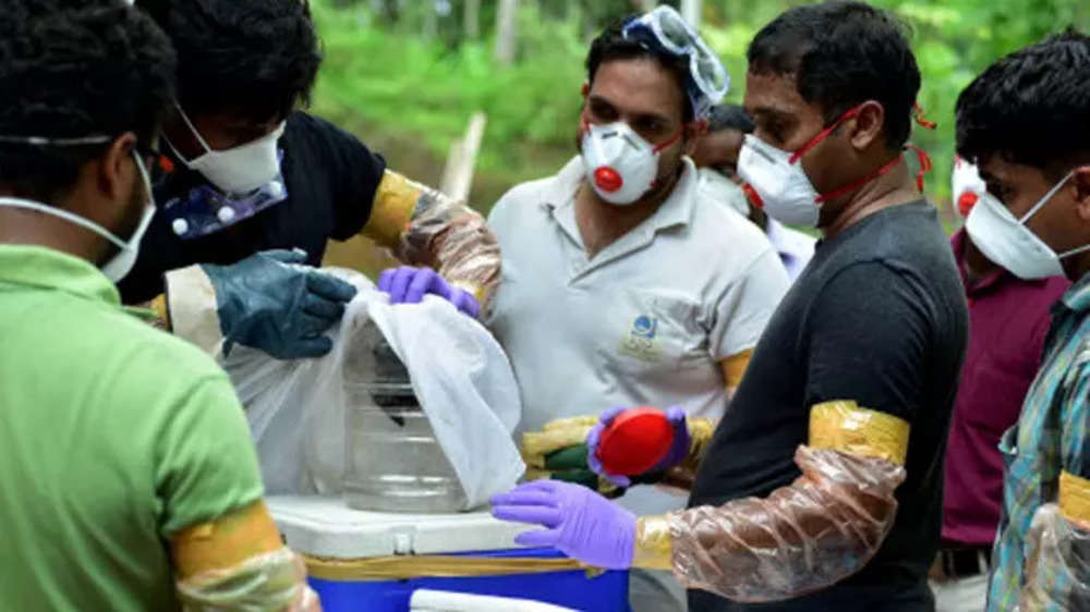India Closes Schools, Offices and Public Transport Over Nipah Virus