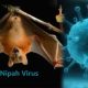 Nipah Virus India