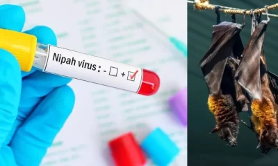 Nipah Virus Outbreak in India What You Need to Know