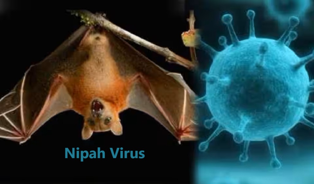 Nipah Virus India