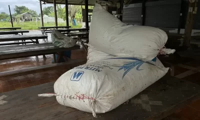 Rice Raid: A Thief Flees from a School in Northern Thailand