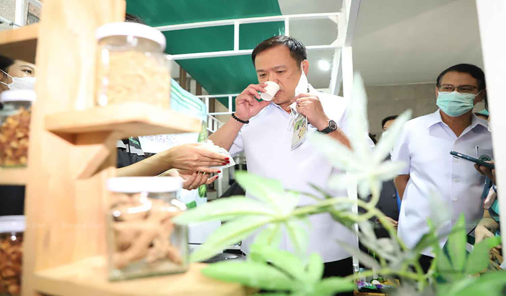 Thailand's Public Health Minister Introduces Committee to Regulate Cannabis
