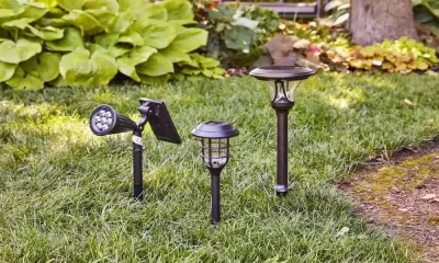 The Illuminating Connection: Why People Want to Have a Garden with Solar Lights